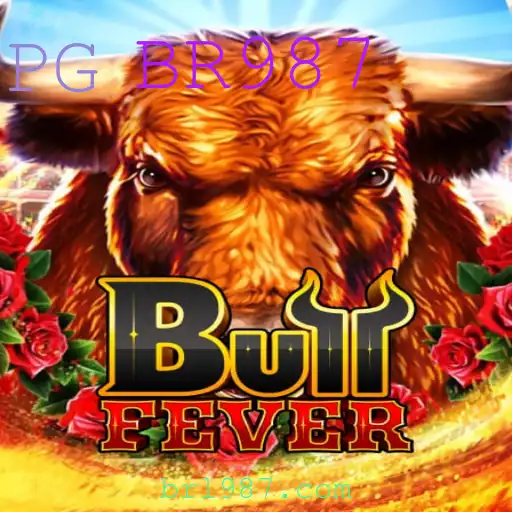 Descubra o Mundo Empolgante de BullFever com o Código BR987